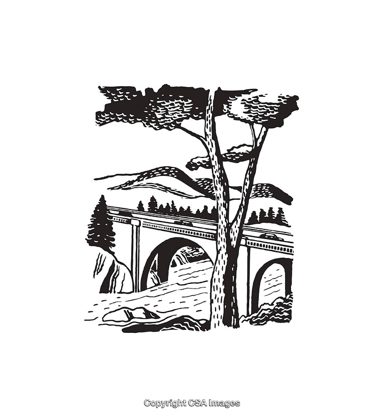 Scenic Black and White Illustration of Nature with Bridge and Trees
