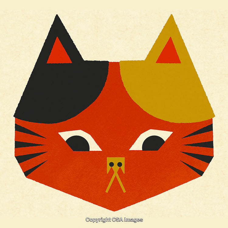 Modern Geometric Illustration of a Cat's Face With Bold Colors