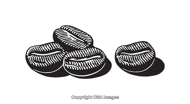 Illustration of Coffee Beans in Detailed Black and White Line Art Design