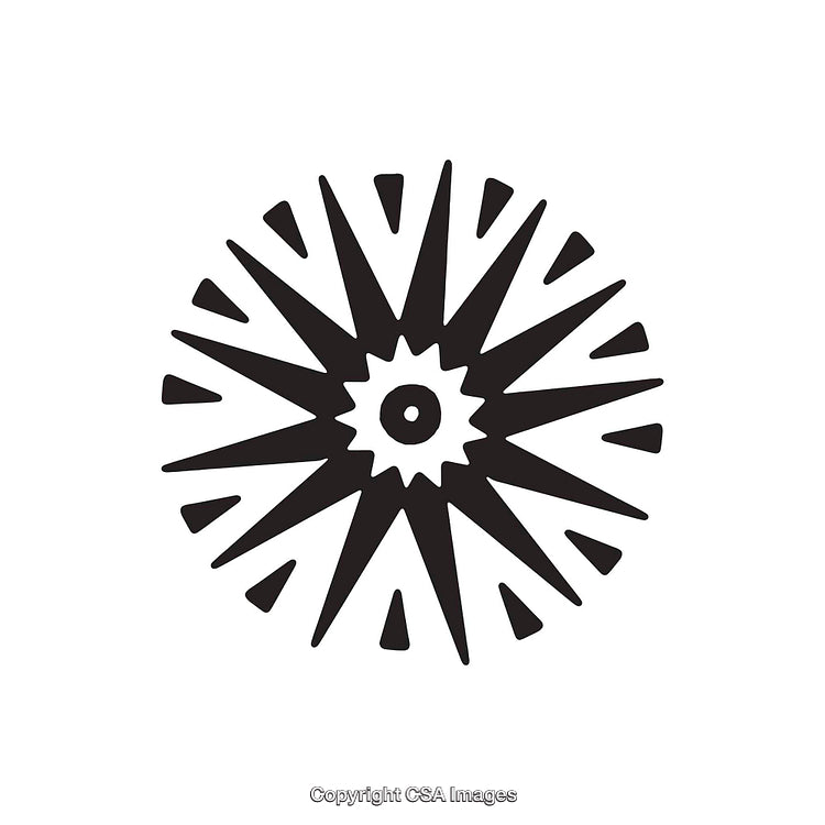 Abstract Black and White Radiant Starburst Design on White Background