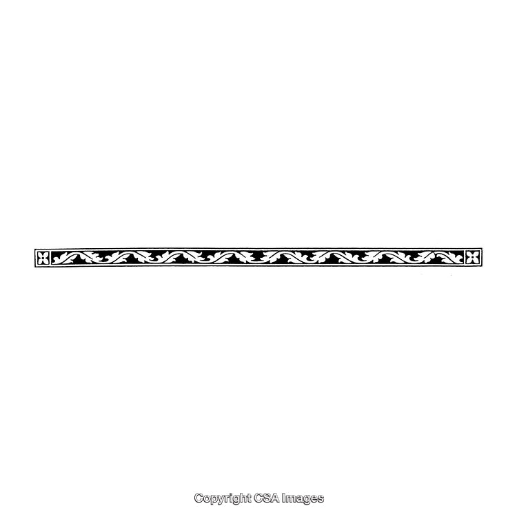 Elegant Black and White Border with Ornamental Floral Design