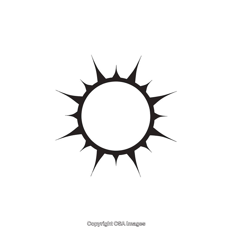 Black and White Circular Spiked Shape Icon