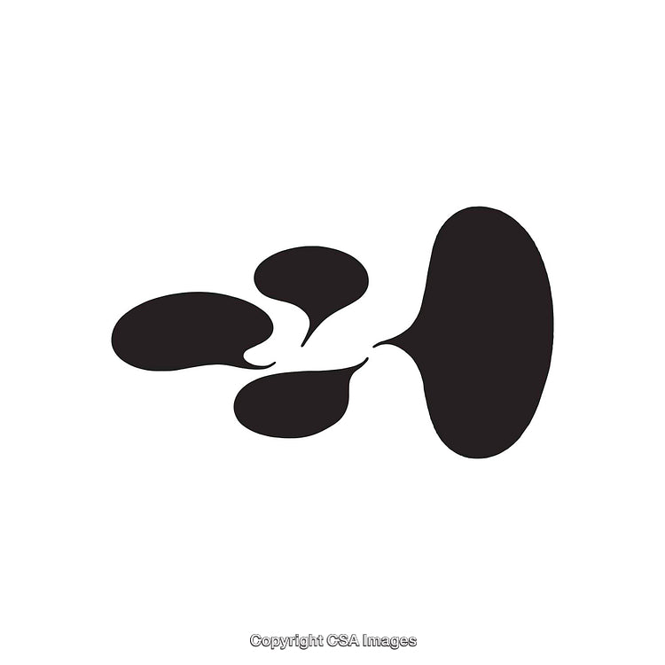 Abstract Black and White Dingbat Shape Silhouettes with Unique Patterns