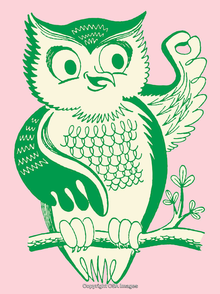 Illustration of a Cartoon Owl Perched on a Branch with Green Details