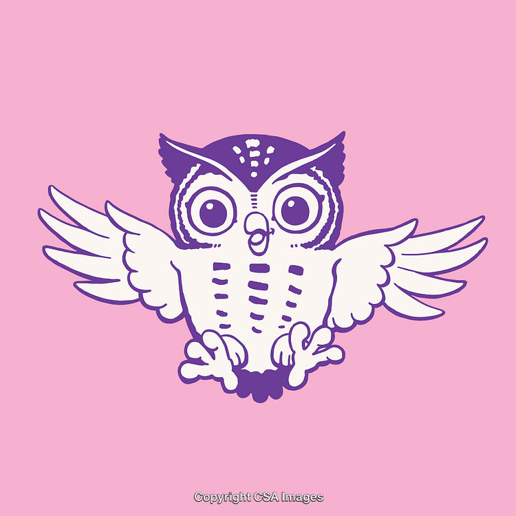Cute Owl Line Art Illustration on a Pink Background