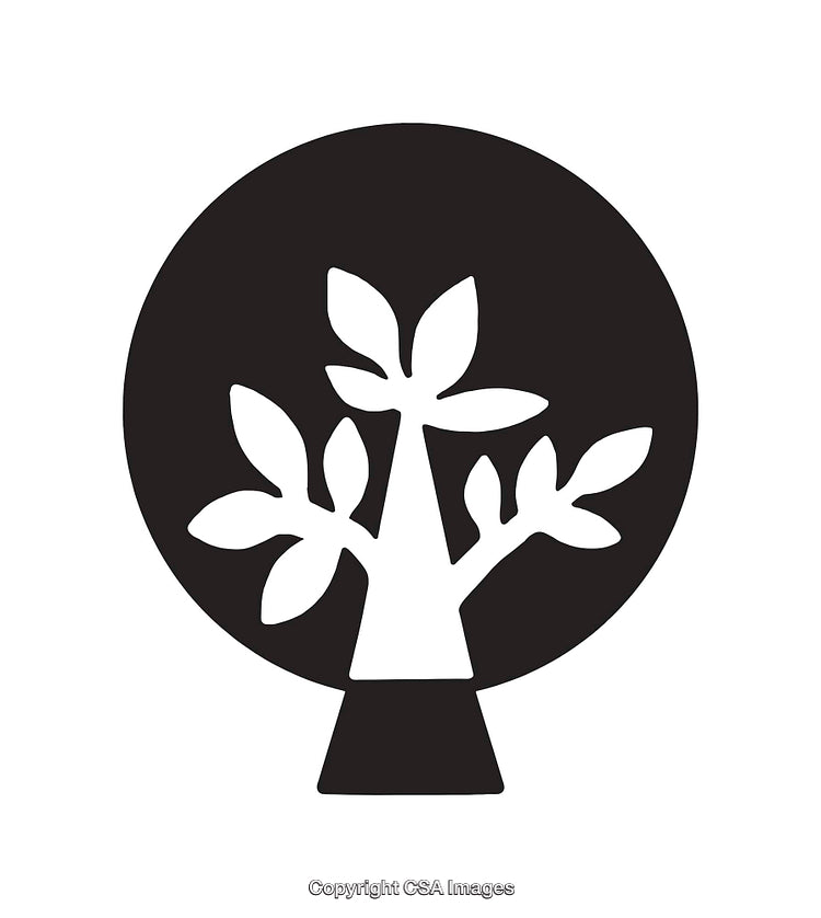 Black And White Line Art Tree Illustration Symbolizing Growth