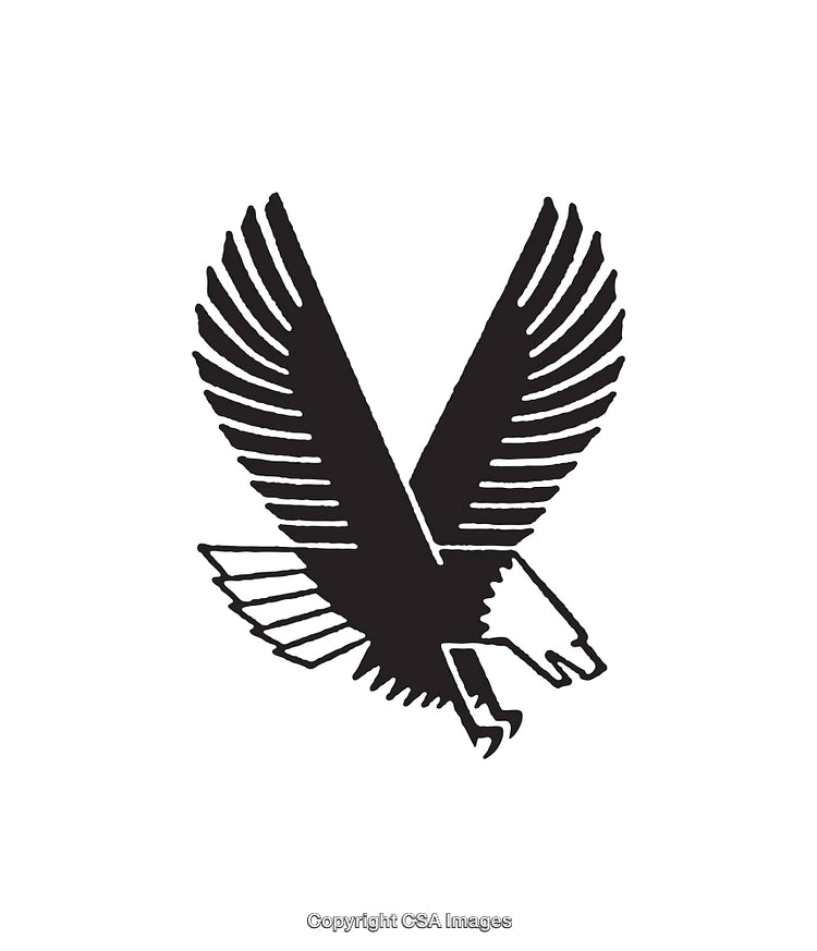 Stylized Black and White Eagle Line Art Illustration