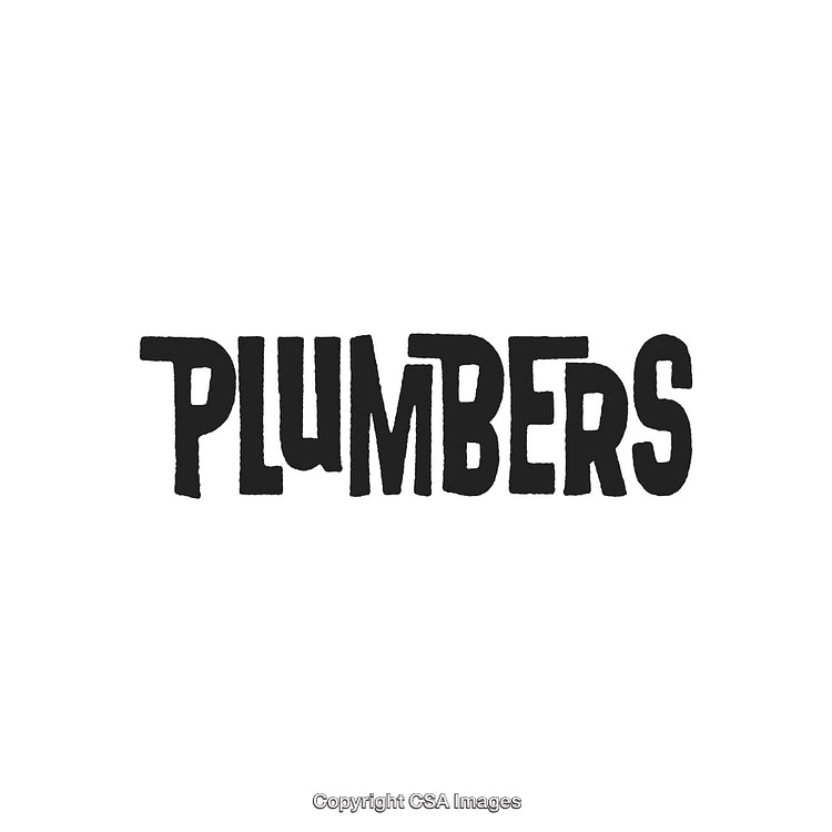 Bold Black Text Design Displaying the Word 'Plumbers' on a White Background