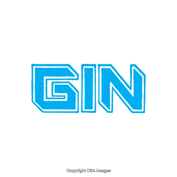 Stylized Blue Text Logo of the Word 'GIN' on White Background