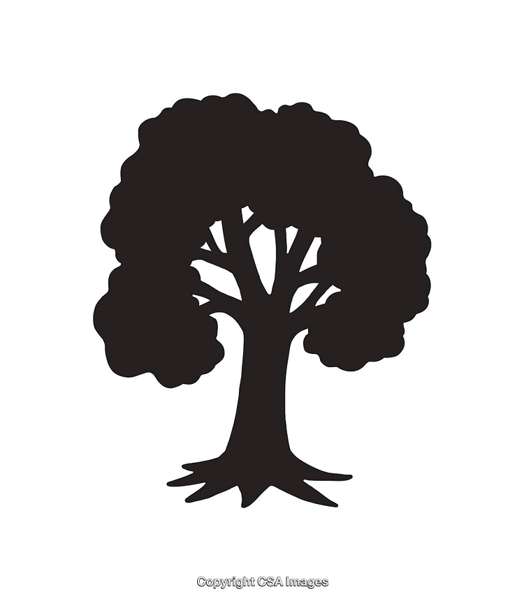 Black and White Silhouette of a Tree for Designs or Logos