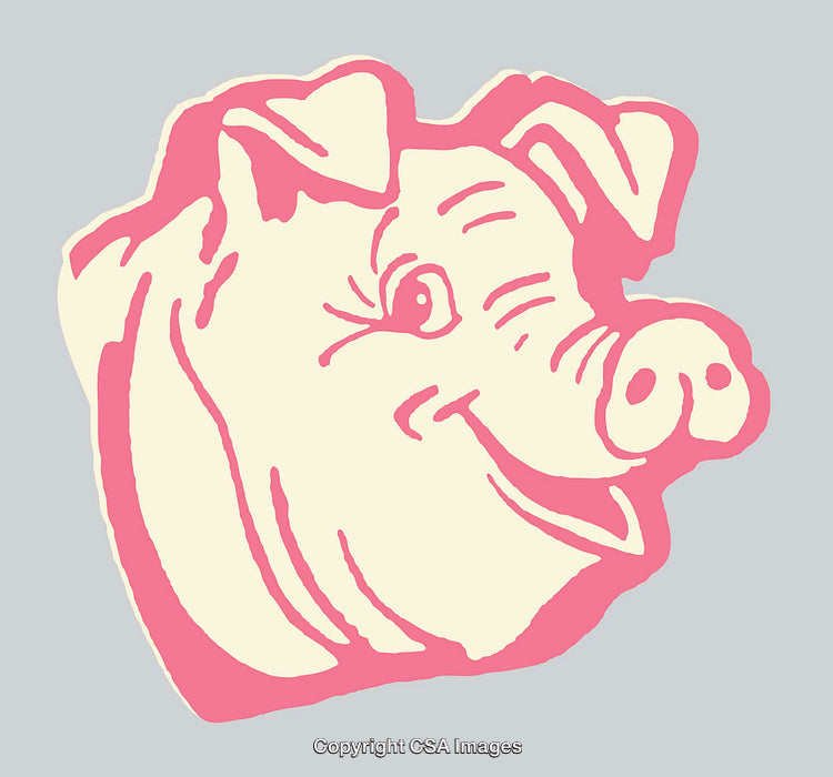 Stylized Line Art Illustration of a Smiling Pink Pig Face