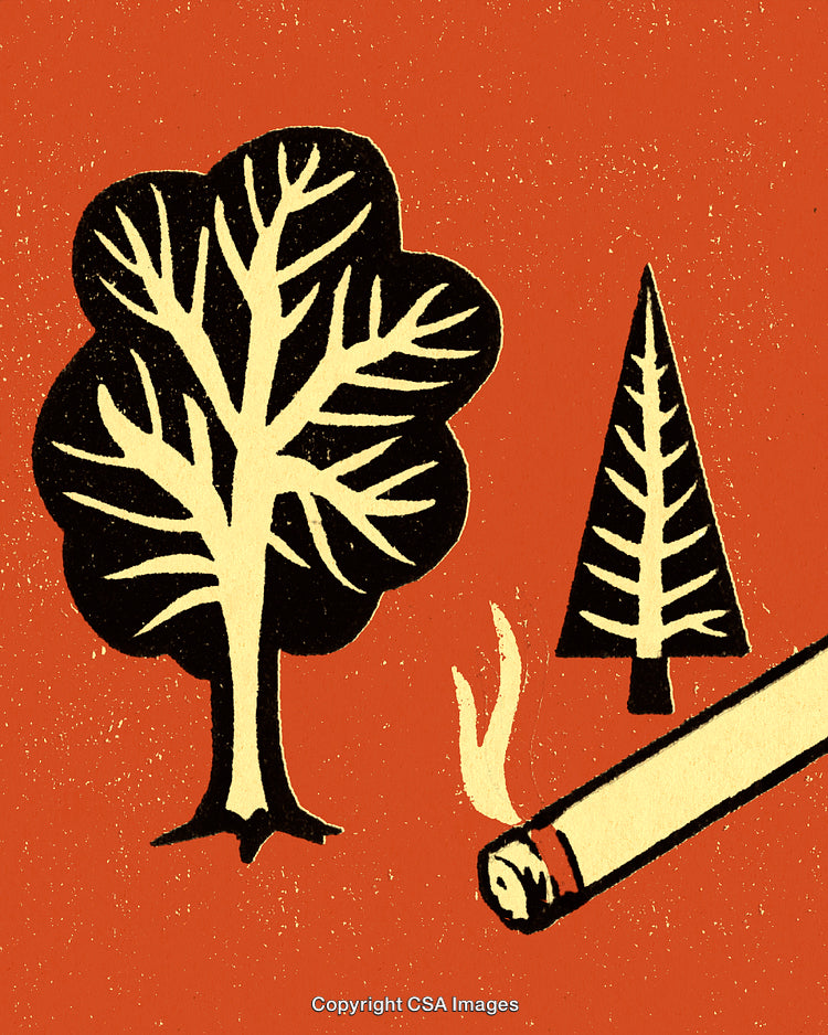 Illustrated Scene of Forest Fire Danger with Trees and Cigarette