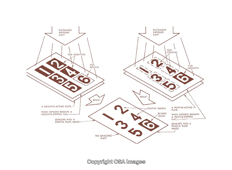Diagram Illustration Explaining Photographic Negative and Positive Development Process