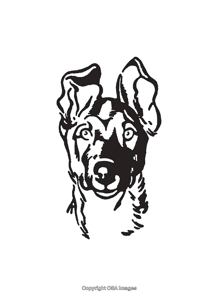 Detailed Black and White Line Art of a Dog's Face Illustration