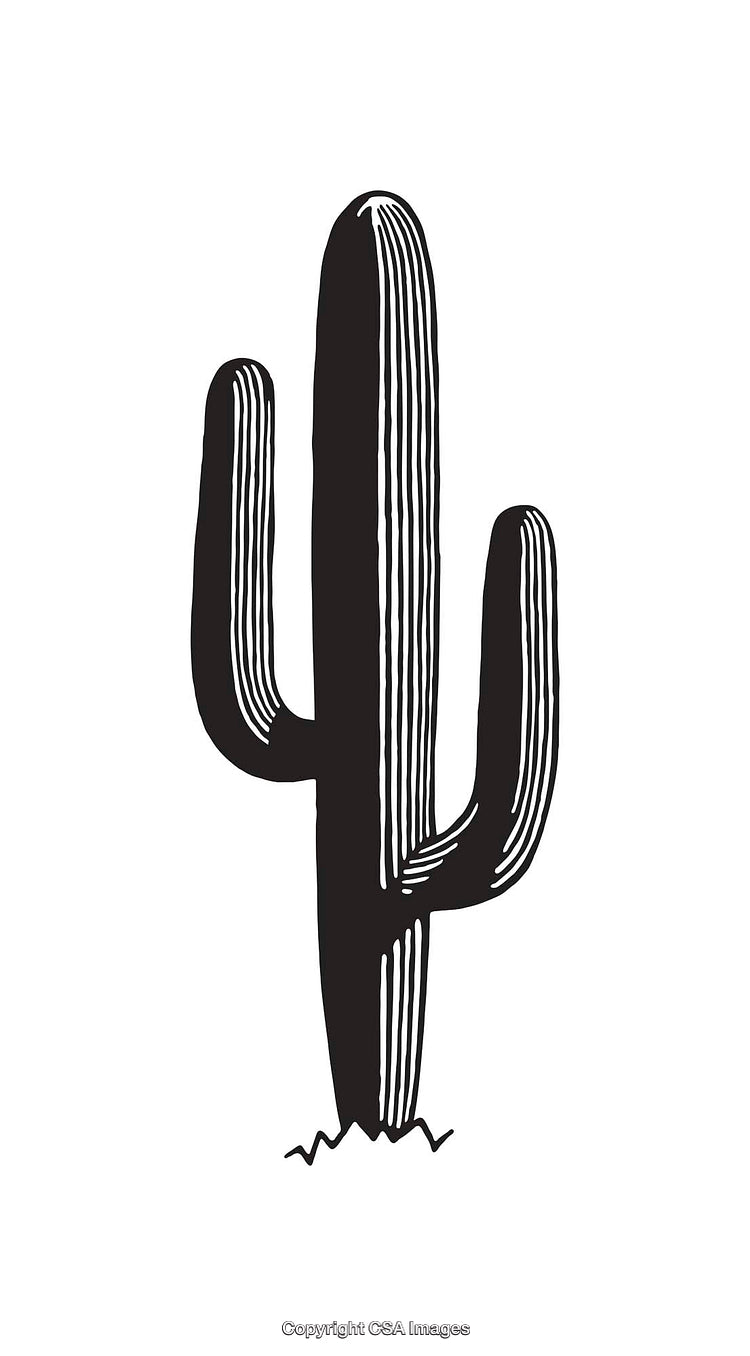 Black And White Line Art Illustration of a Decorative Cactus