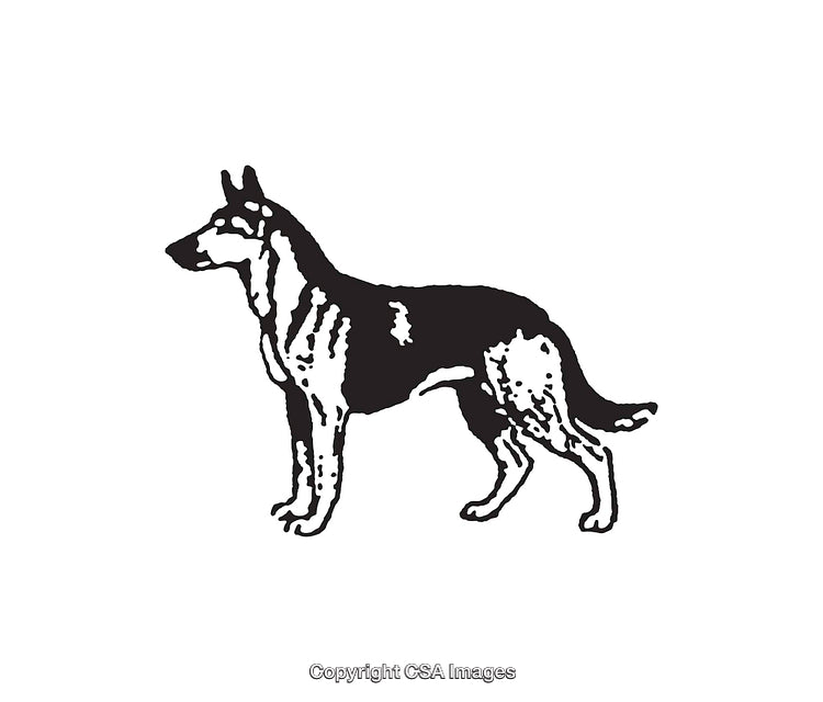 Black and White Line Art Illustration of a Standing Dog