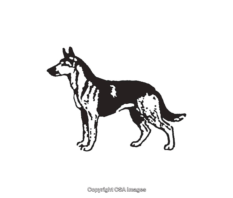 Black and White Line Art Illustration of a Standing Dog