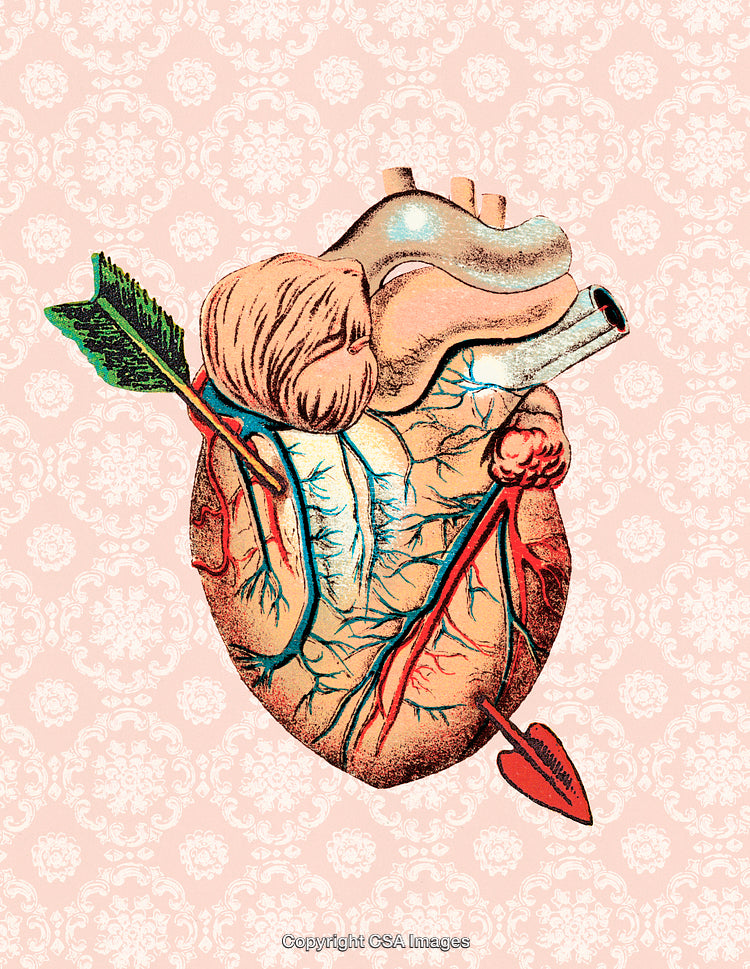 Artistic Depiction of Anatomical Heart with Decorative Elements and Vintage Style