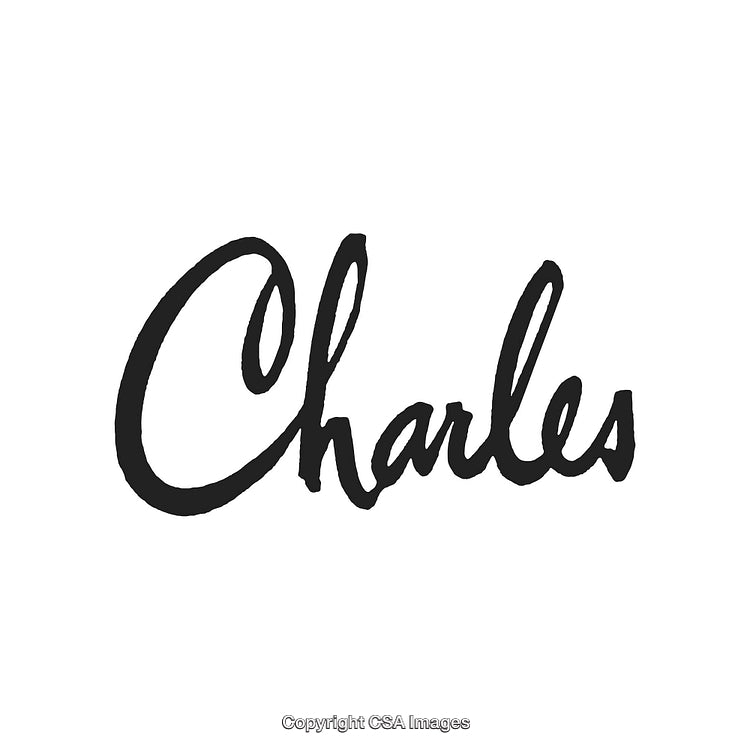 Elegant Handwritten Name Design Featuring the Word Charles in Black Ink