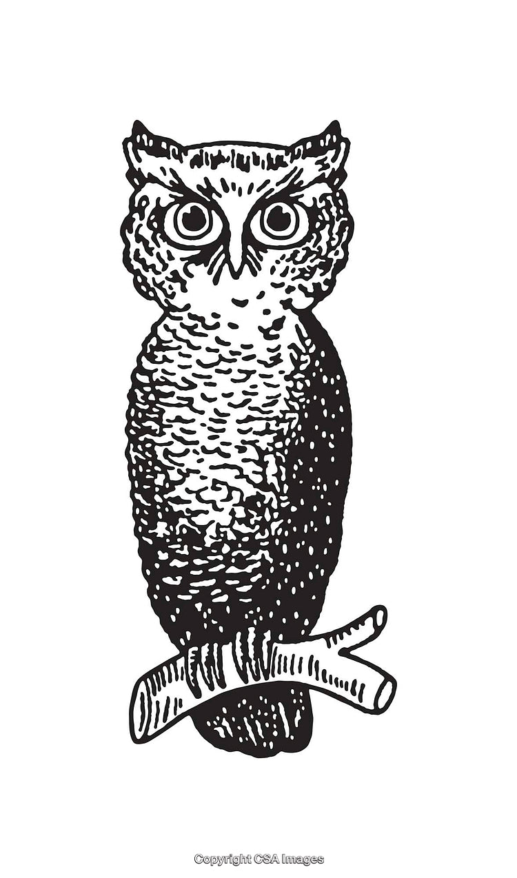 Detailed Black and White Line Art Illustration of an Owl Perched on a Branch