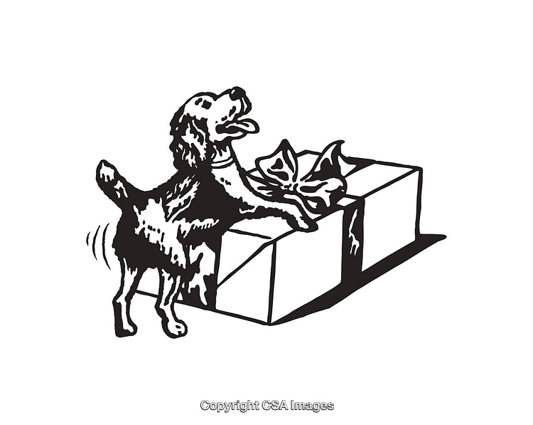 Playful Dog Excitedly Interacting With a Gift Wrapped Present