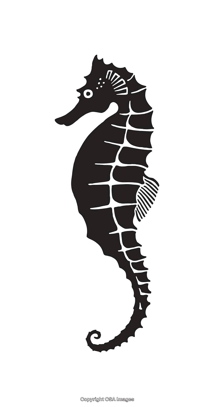 Black and White Seahorse Line Art Illustration
