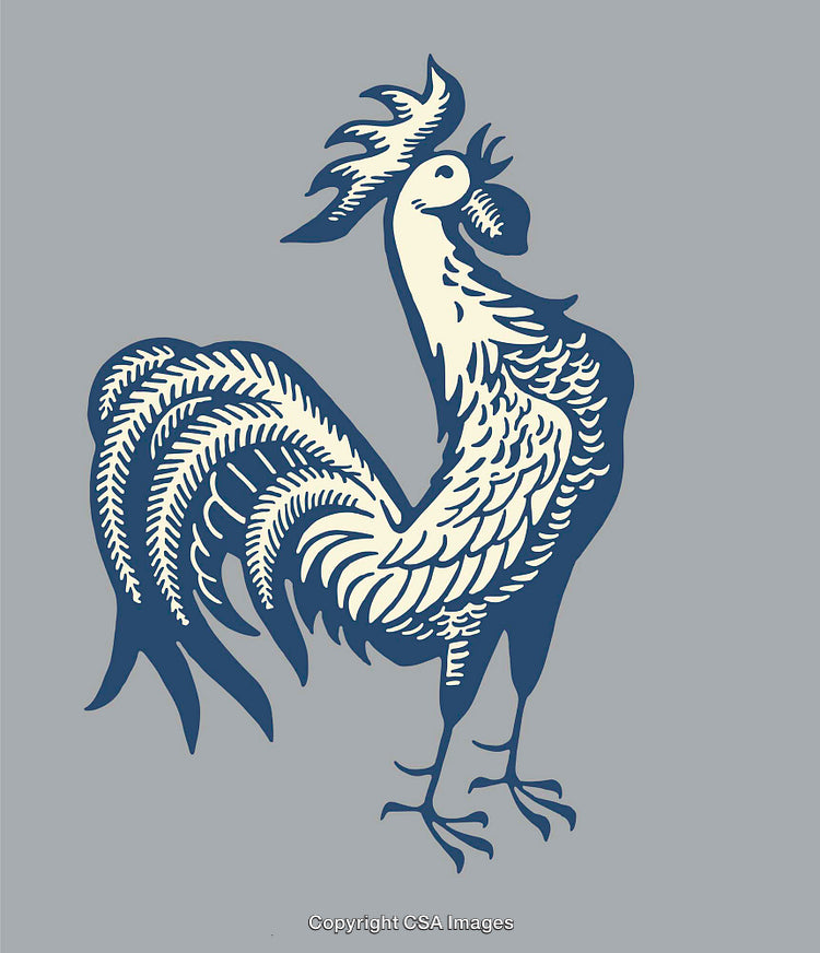 Stylized Rooster Illustration with Intricate Feather Details on Gray Background