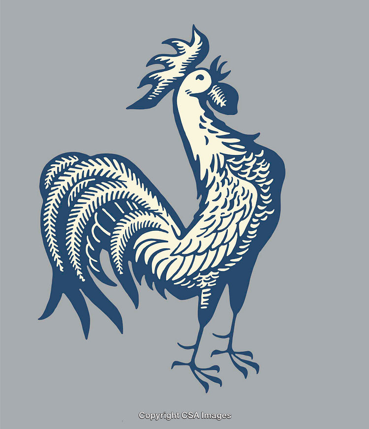 Stylized Rooster Illustration with Intricate Feather Details on Gray Background