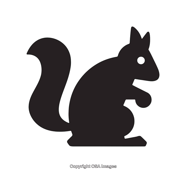 Black and White Silhouette of a Squirrel with a Curved Tail