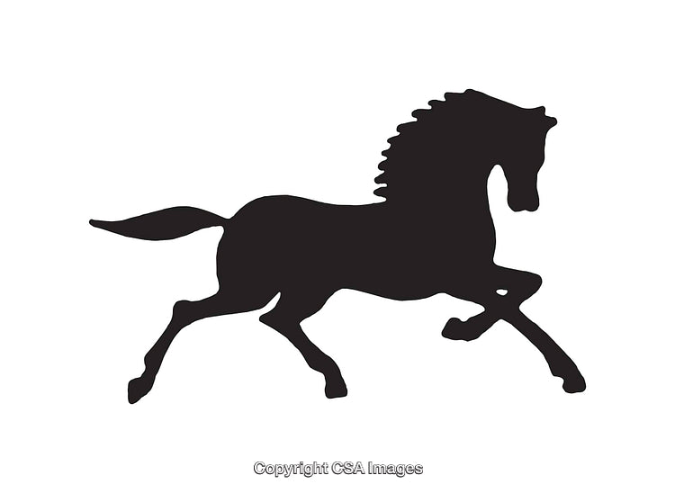 Silhouette Illustration of a Galloping Horse in Black and White
