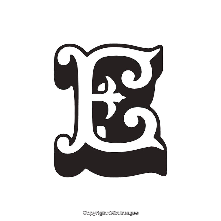 Intricately Designed Calligraphic Letter E in Black and White Style