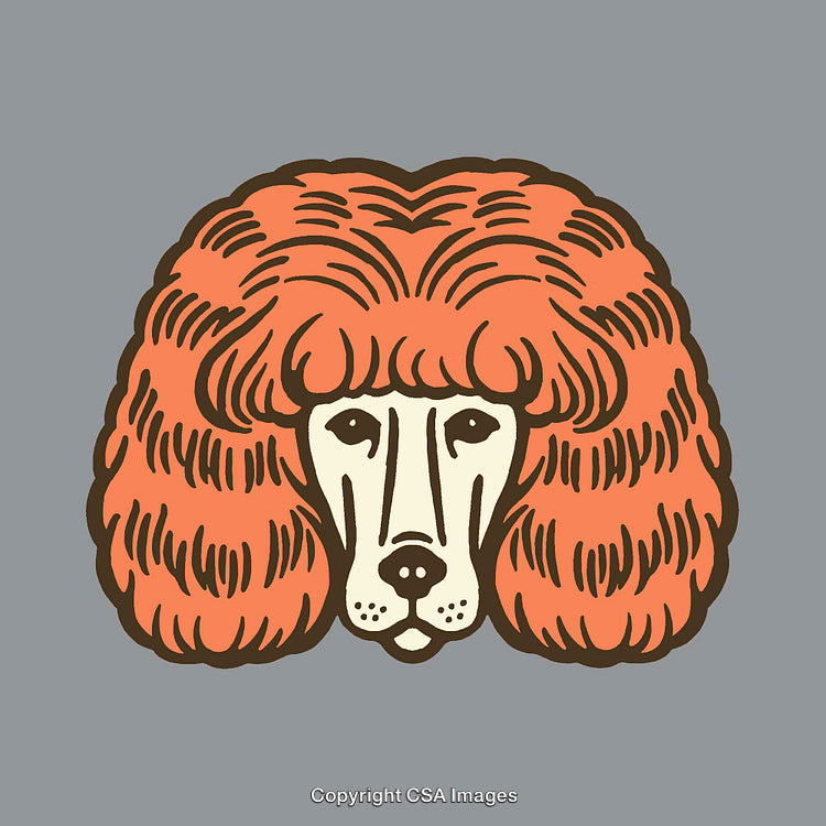 Whimsical Line Art of a Dog With Stylish Hair Design