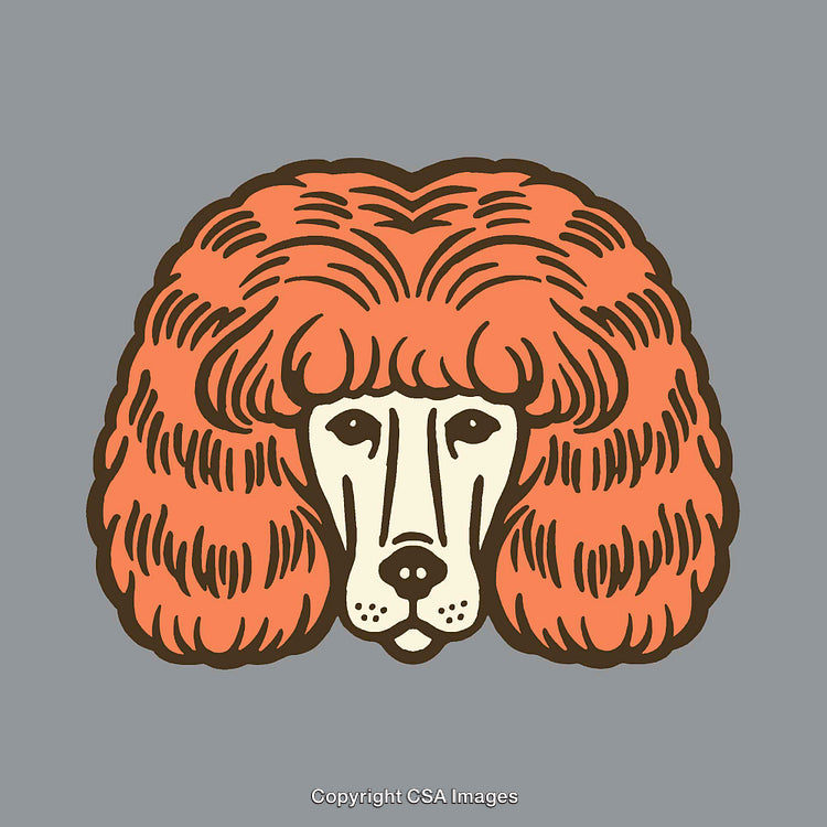 Whimsical Line Art of a Dog With Stylish Hair Design