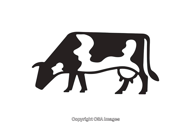 Silhouette of a Grazing Cow in Minimalist Black and White Style