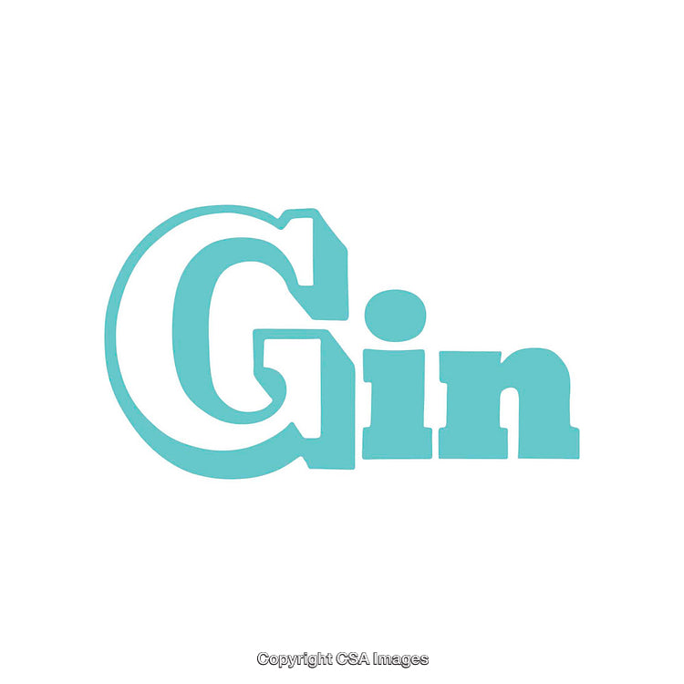 Bold Turquoise Typography of the Word 'Gin' on a White Background