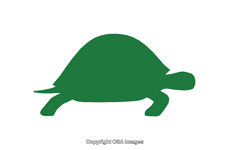 Green Turtle Silhouette Icon on a White Background