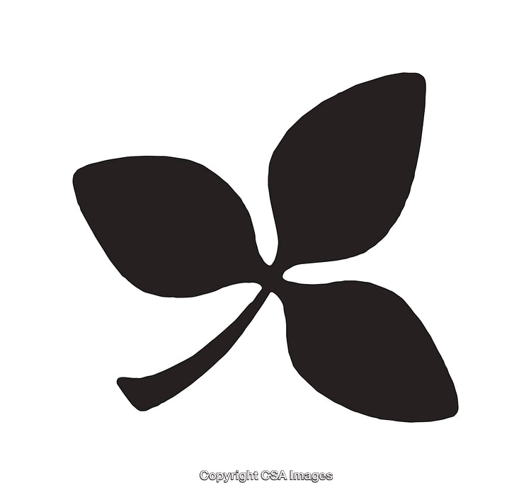 Minimalistic Black Four Leaf Line Art on White Background