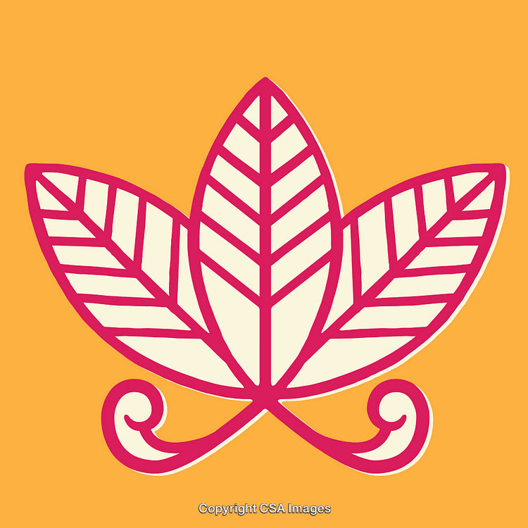 Abstract Line Art Illustration of a Pink Floral Symbol on an Orange Background