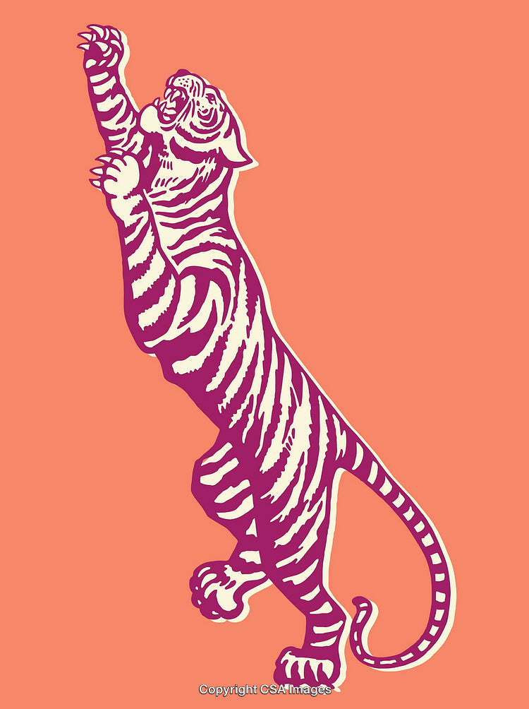 Colorful Line Art Illustration of a Tiger in a Dynamic Pose