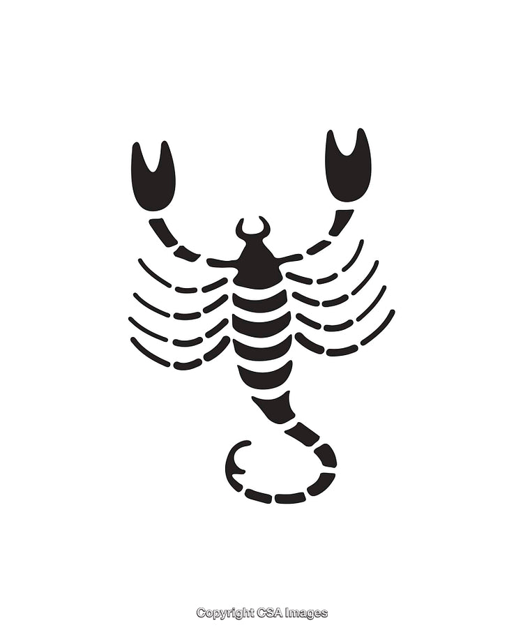 Black and White Icon of a Scorpion with Detailed Features