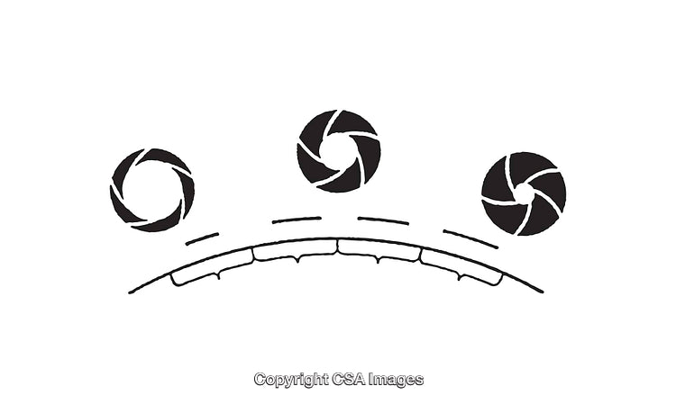 Abstract Black and White Diagram with Circular Shape Elements