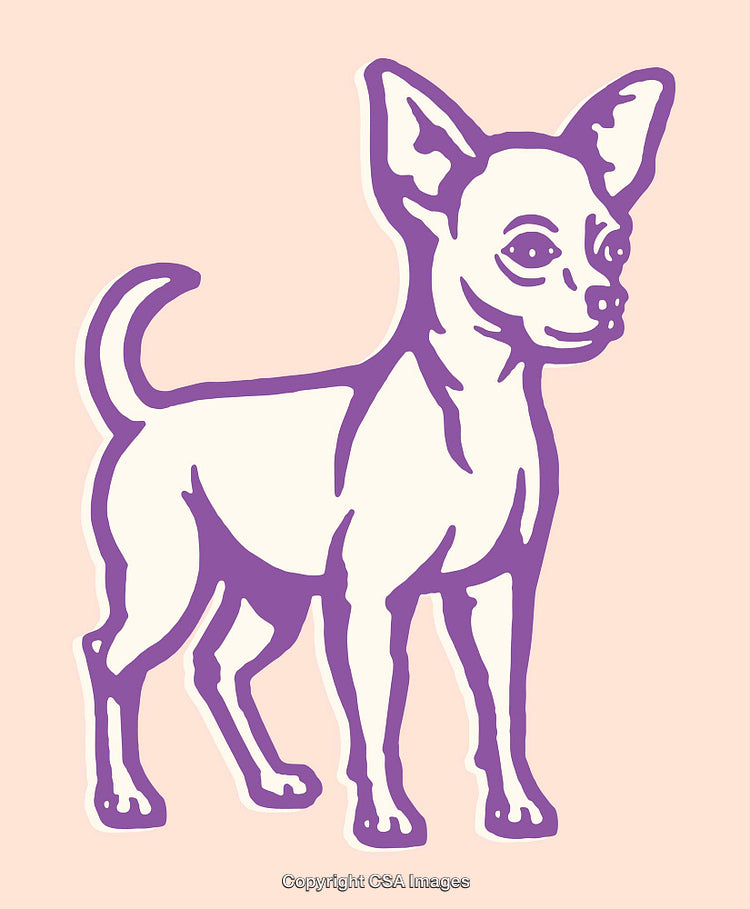 Colorful Line Art Illustration of a Chihuahua Against a Soft Background