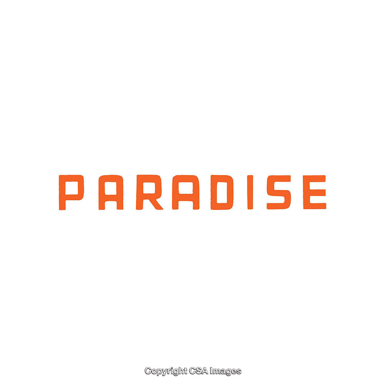 Minimalist Typography Featuring the Word Paradise in Bold Orange Font