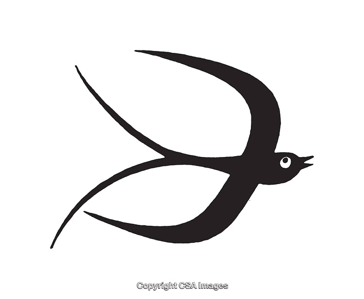 Minimalist Black and White Illustration of a Swallow in Flight