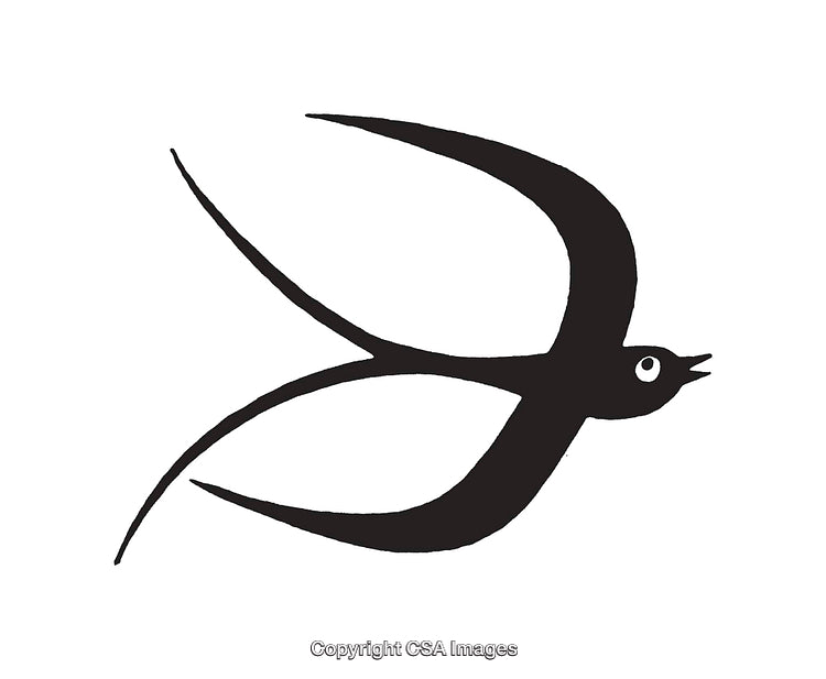Minimalist Black and White Illustration of a Swallow in Flight