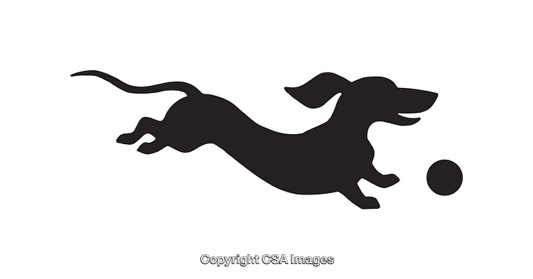 Silhouette Illustration of a Playful Dog Leaping for a Ball