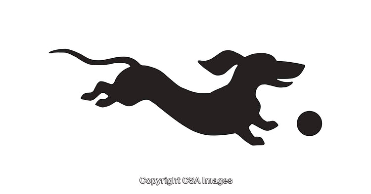 Silhouette Illustration of a Playful Dog Leaping for a Ball