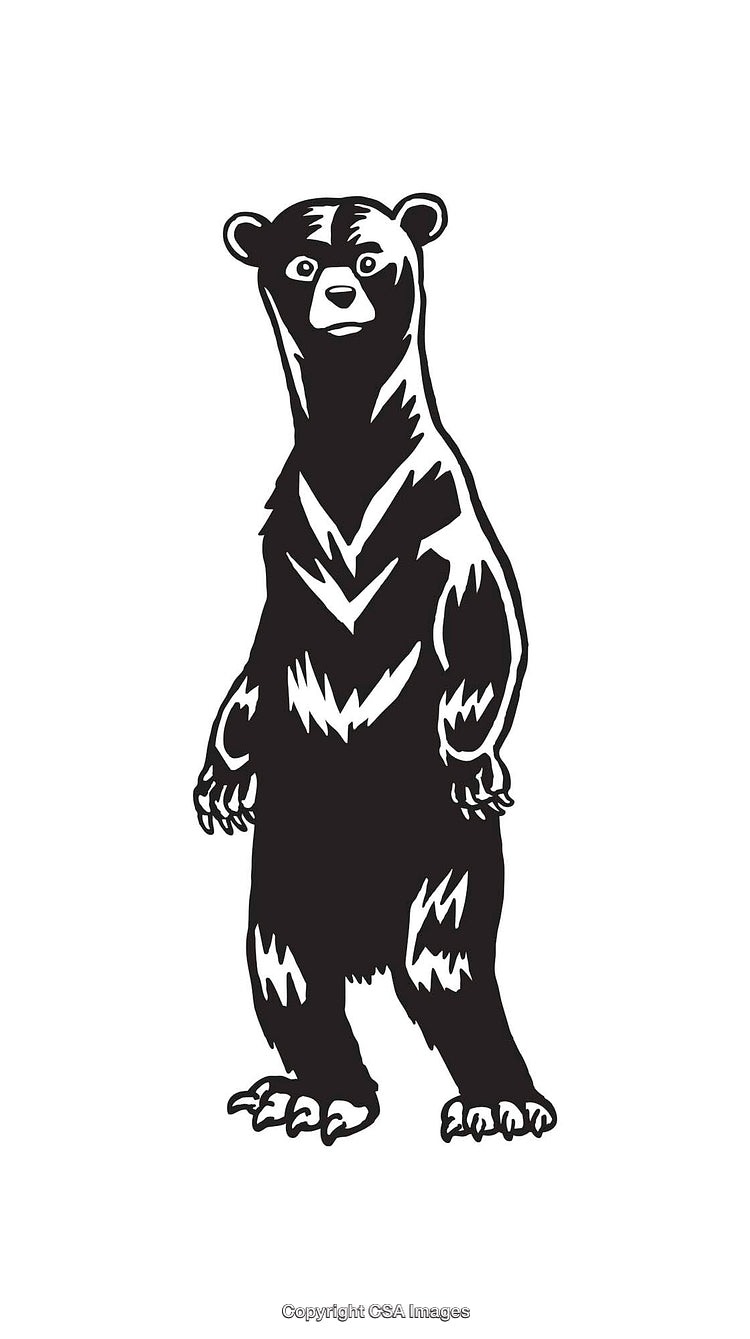 Black and White Line Art of a Standing Bear Illustration
