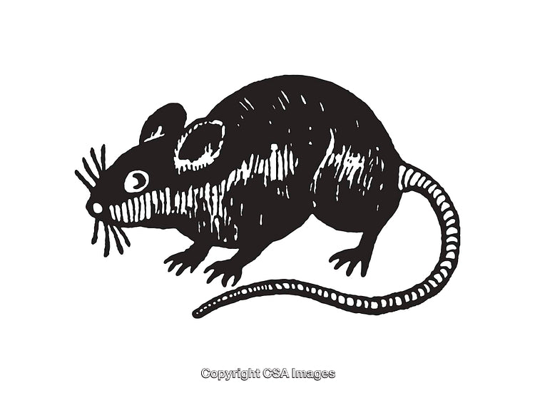 Black and White Line Art Illustration of a Mouse Figure