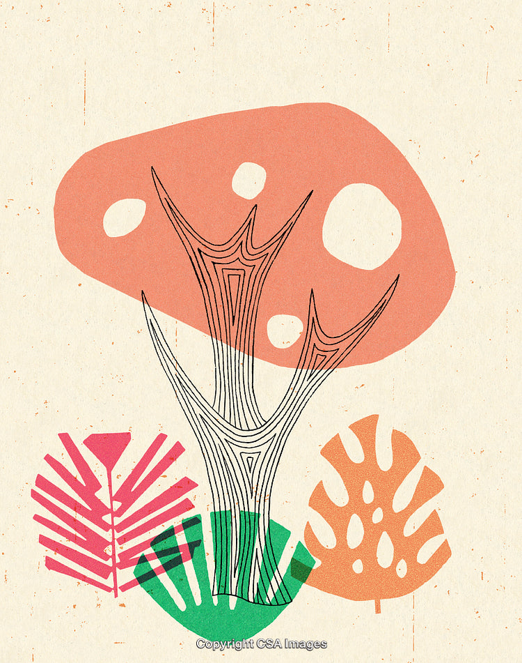Abstract Illustration of Nature-Inspired Elements with Vibrant Colors and Organic Shapes
